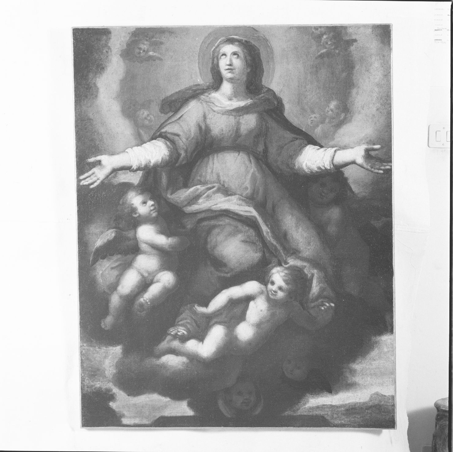 Assunzione della Madonna (dipinto) di Dolci Lucio (seconda metà sec. XVI)
