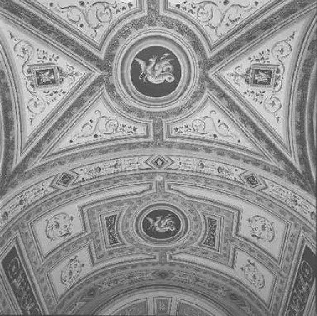 motivi decorativi ad animali fantastici, grottesche, festoni (decorazione pittorica) di Cervini Domenico, Marzapani Domenico (sec. XVIII)
