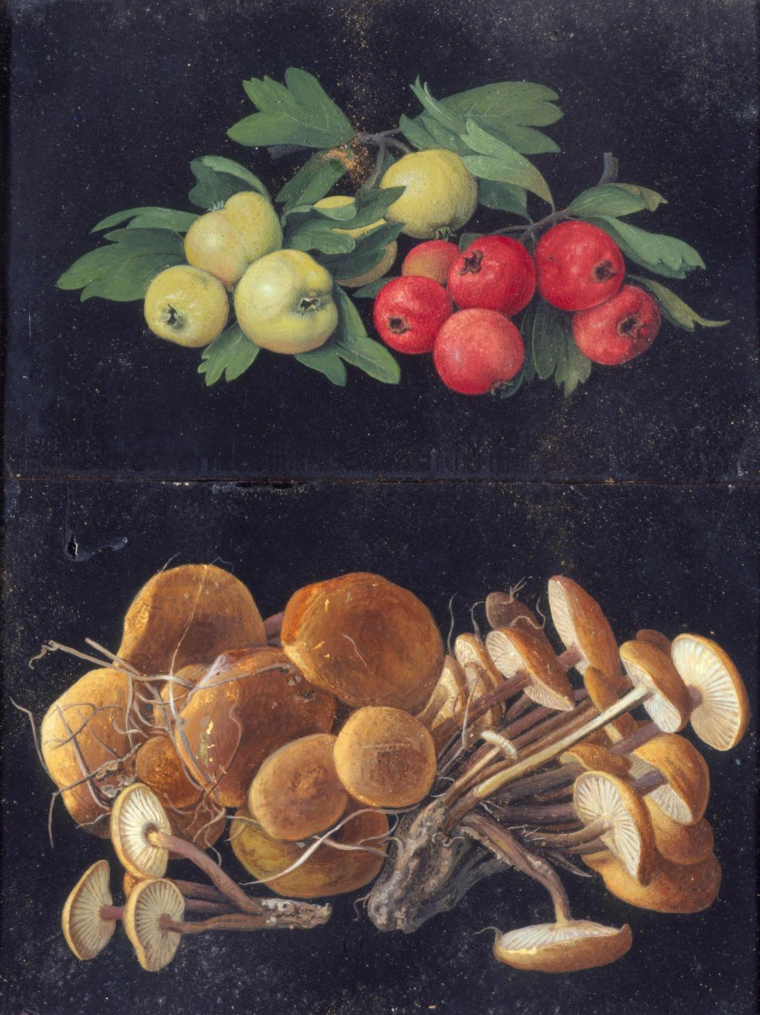 natura morta con frutta (dipinto) di Dori Antonio, Dori Assunta (sec. XIX)