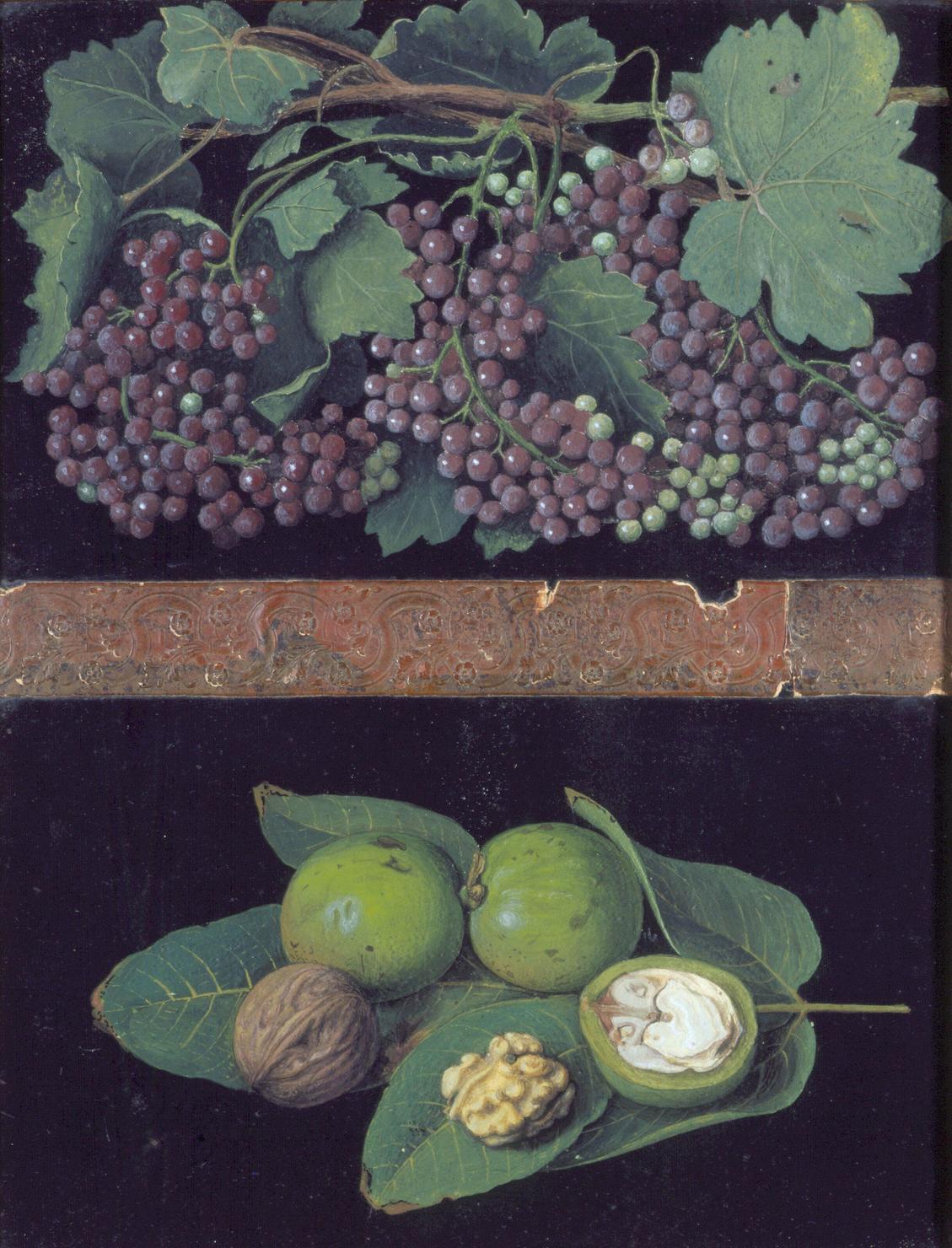 natura morta con frutta (dipinto) di Dori Assunta (sec. XIX)