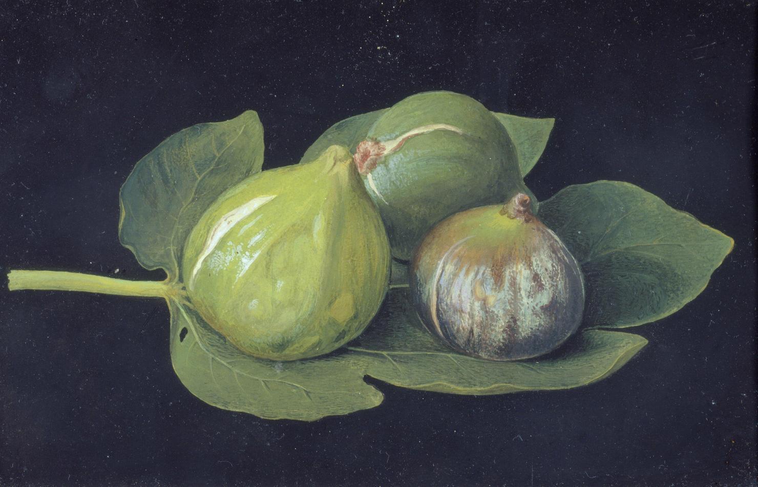 natura morta con frutta (dipinto) di Dori Antonio (sec. XIX)