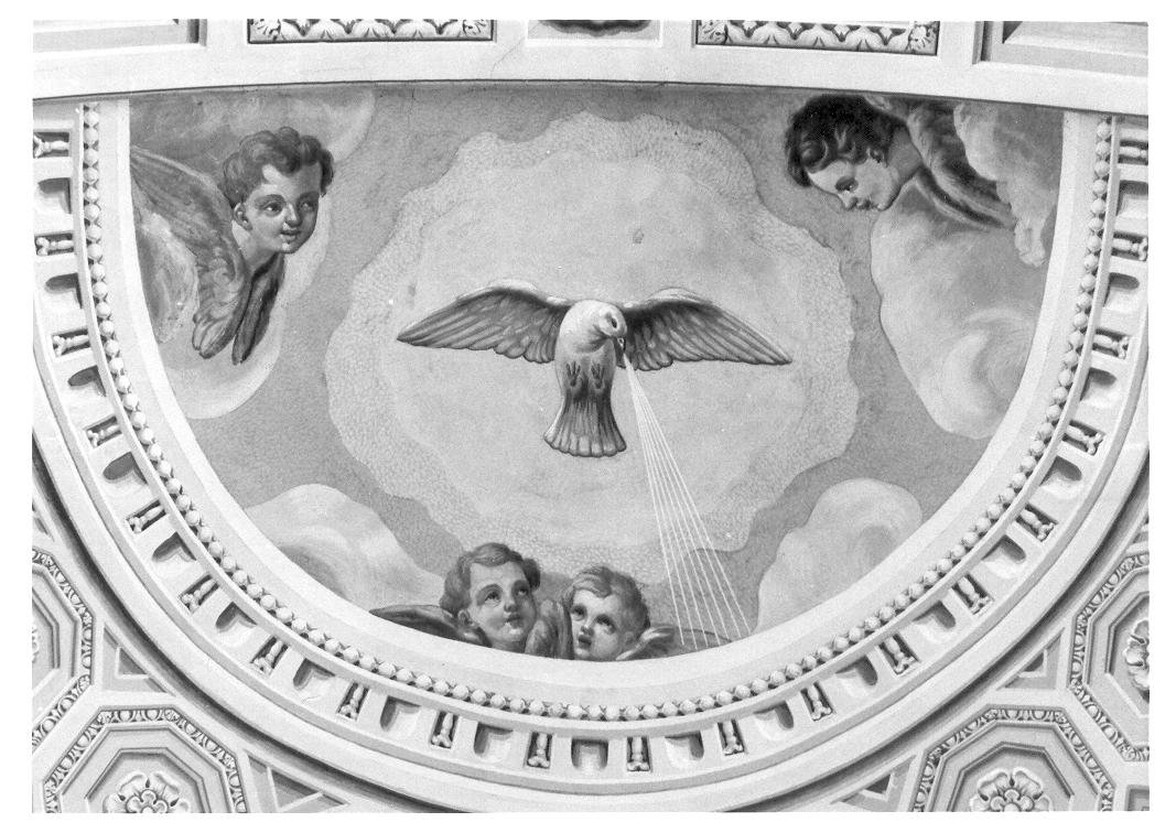 colomba dello Spirito Santo e cherubini (dipinto) - ambito marchigiano (sec. XIX)