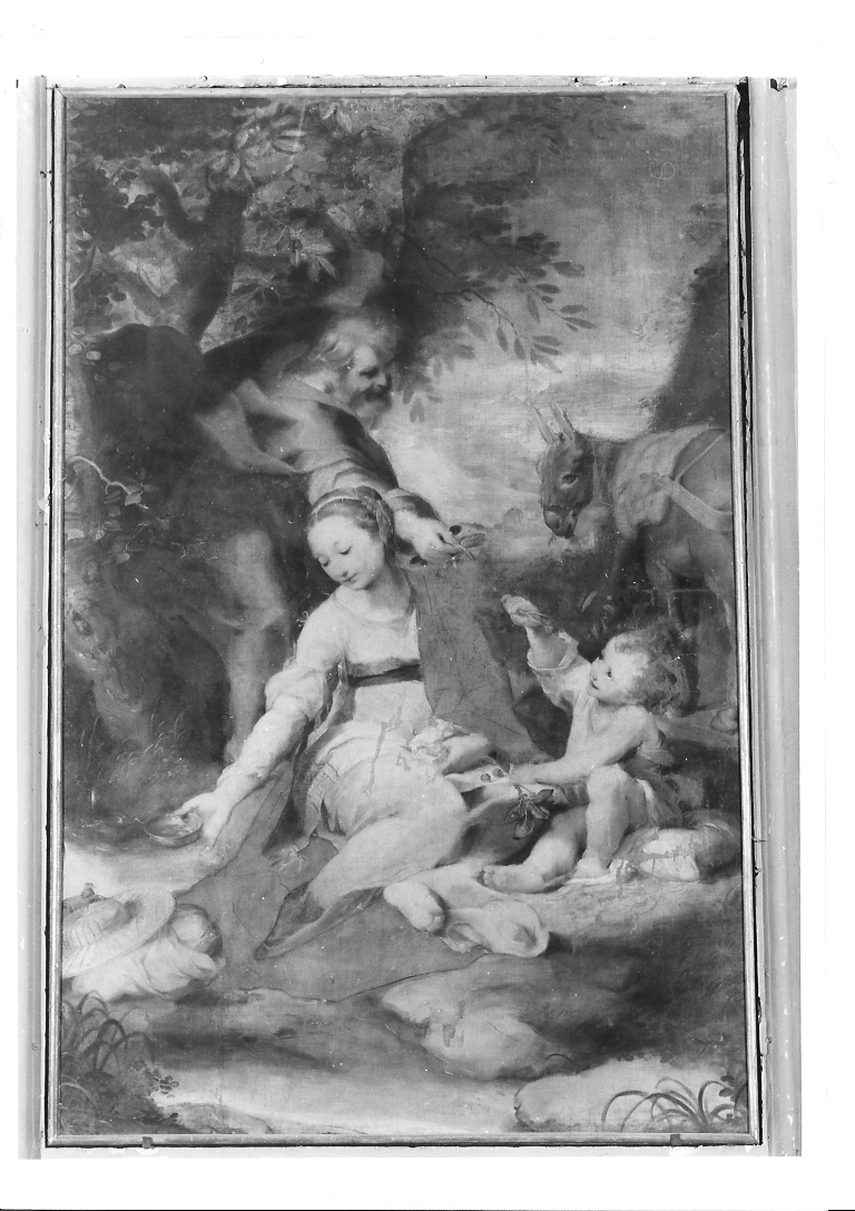 riposo nella fuga in Egitto e miracolo della sorgente (dipinto) di Fiori Federico detto Barocci (attribuito) (sec. XVI)
