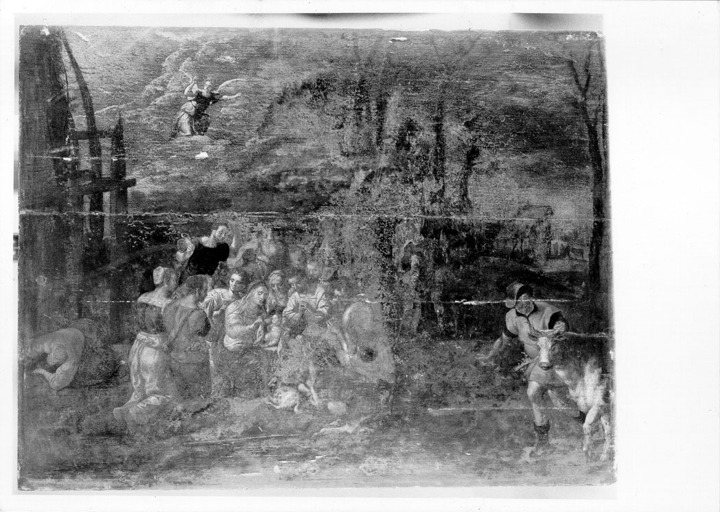 adorazione dei pastori (dipinto) di Heemskerck Marteen van (sec. XVI)