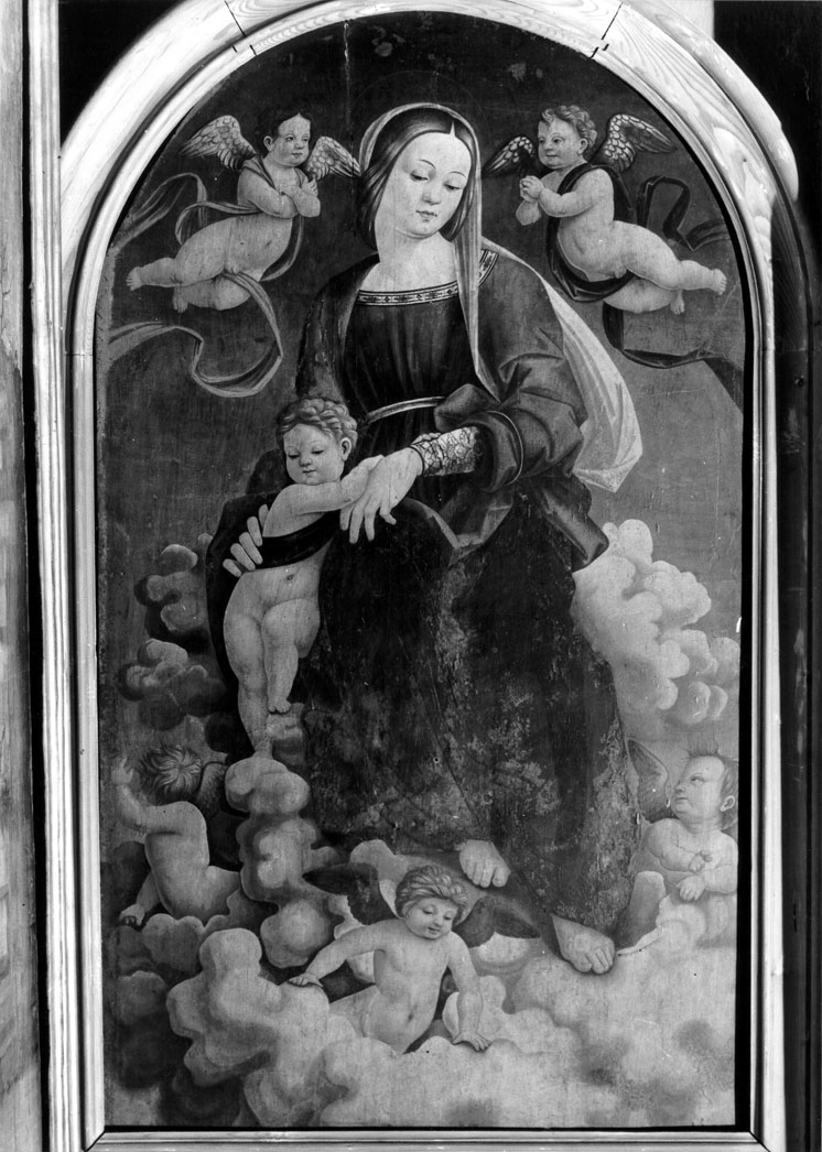 Madonna con Bambino in gloria (dipinto) di Pagani Vincenzo (attribuito) (sec. XVI)