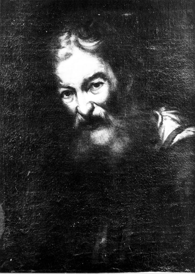 testa d'uomo anziano (dipinto) di Strozzi Bernardo (cerchia) (sec. XVII)