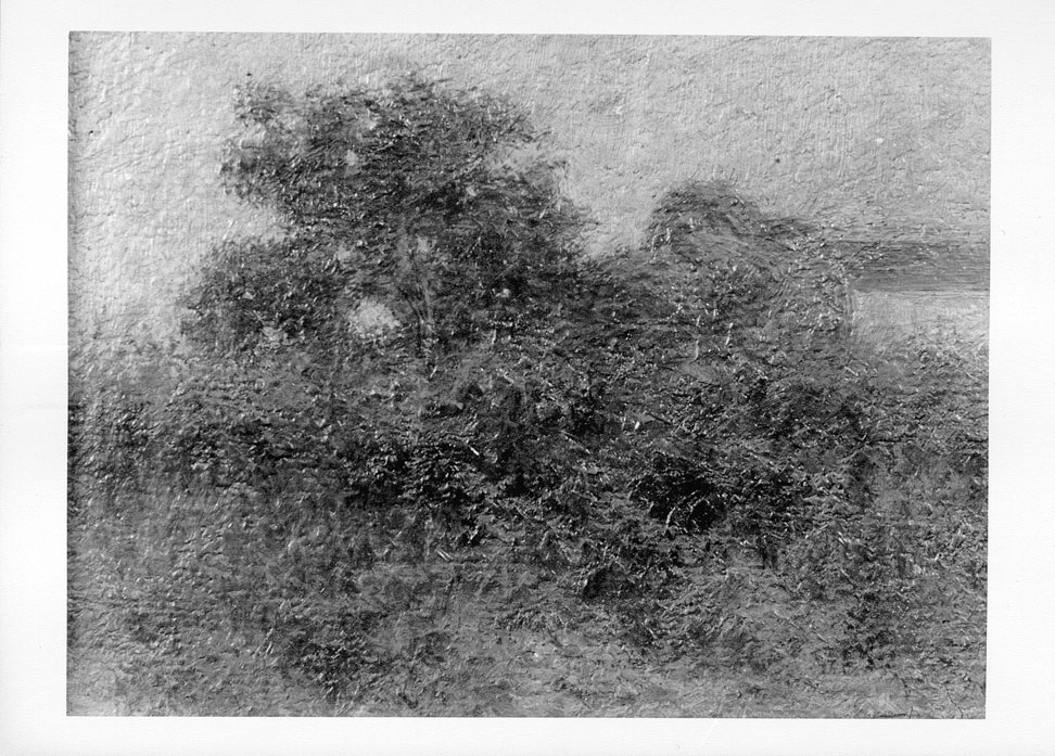 paesaggio (dipinto) di Crema Giovanni Battista (sec. XX)