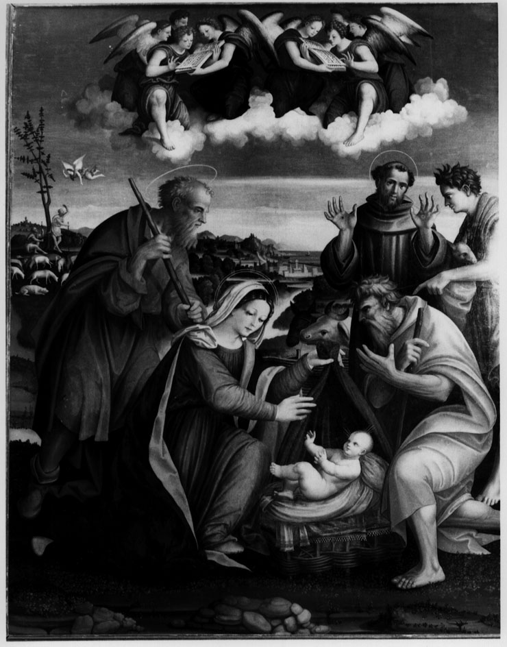 natività di Gesù con San Francesco d'Assisi (dipinto) di Pagani Vincenzo (prima metà sec. XVI)