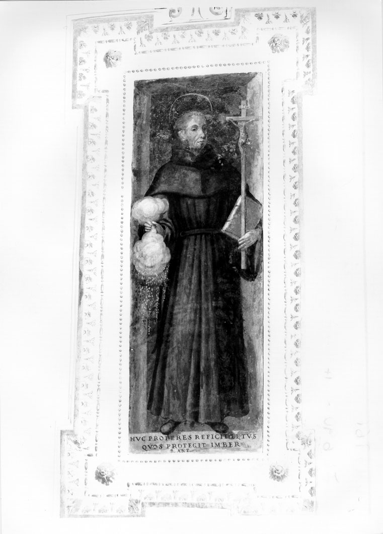 Beato Antonio d'Amandola (dipinto) di Malpiedi Domenico (sec. XVII)