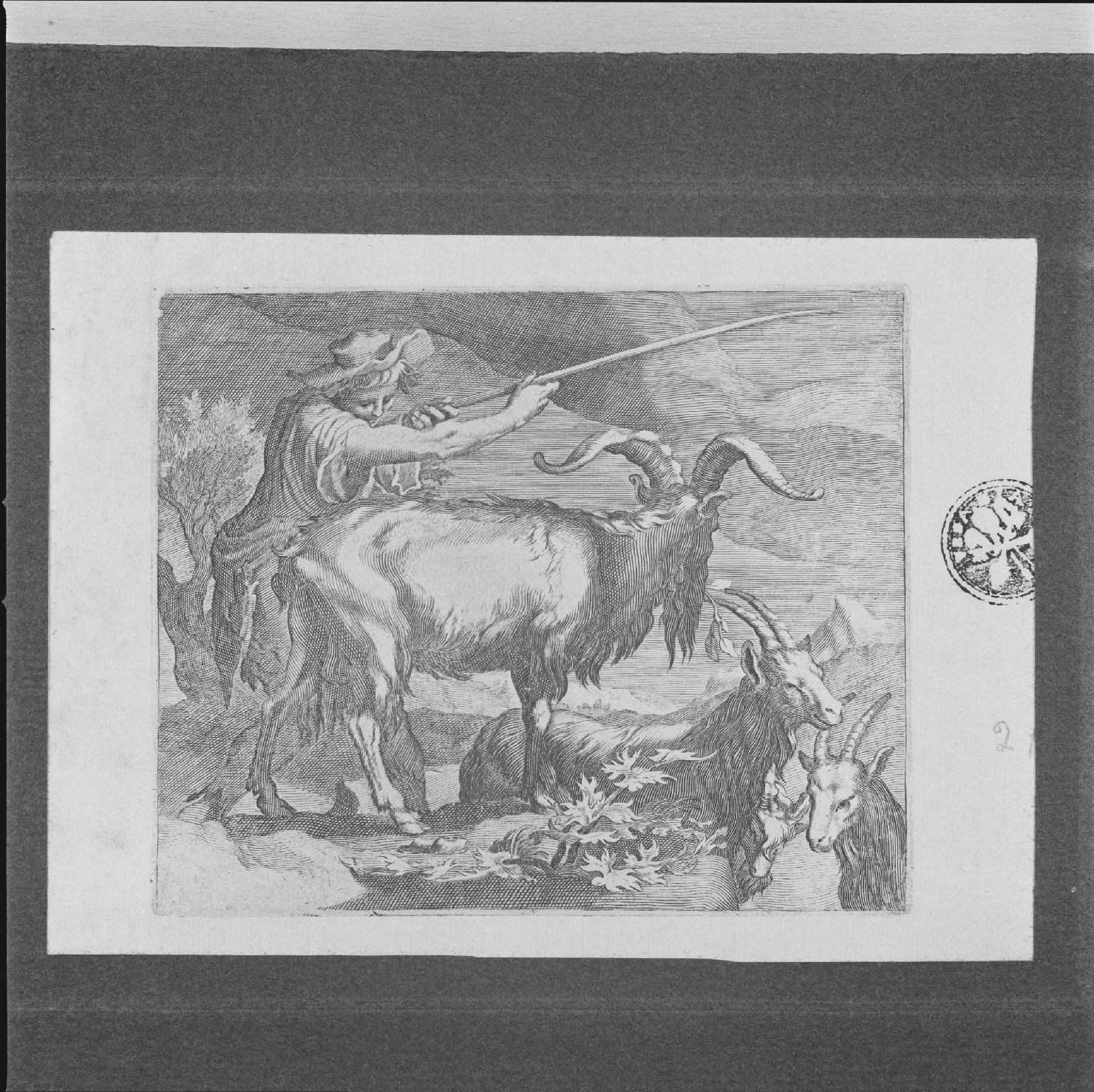 scena campestre con pastore e montoni (stampa, serie) di Brunetti Orazio - ambito italiano, ambito italiano (seconda metà sec. XVII)
