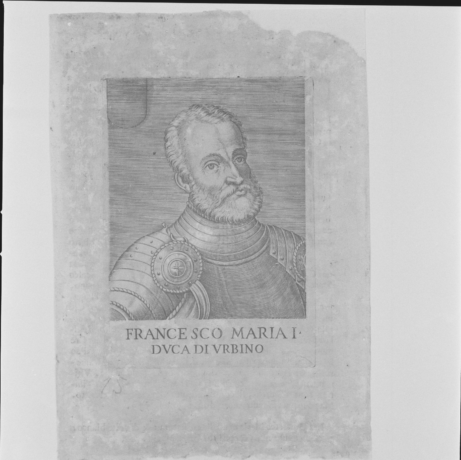 ritratto di Francesco Maria I Della Rovere (stampa) di Vecellio Tiziano - ambito marchigiano (sec. XVI)