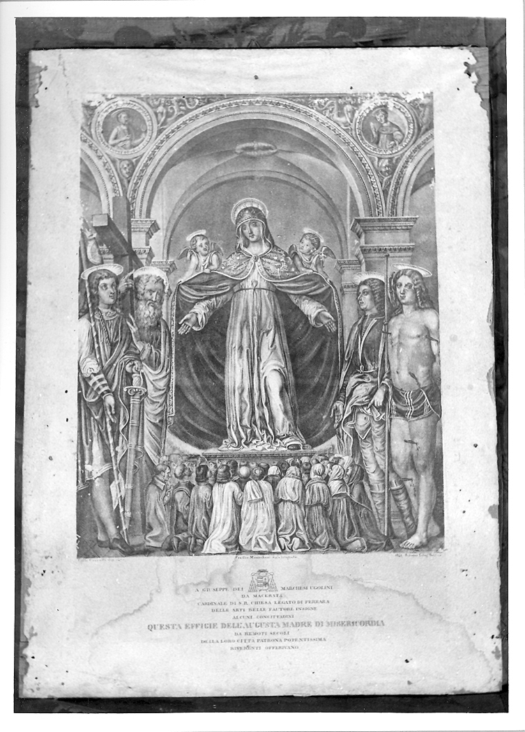 Madonna della Misericordia (stampa) di Crivelli Carlo, Monachesi Francesco (sec. XIX)