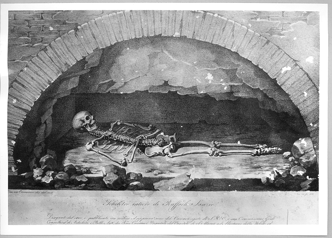 scheletro di Raffaello Sanzio (stampa) di Camuccini Vincenzo (sec. XIX)