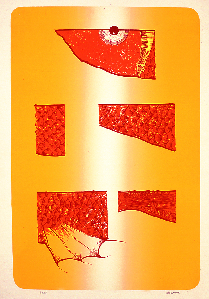 Pesce sezionato, pesce (stampa a colori) di Margonari Renzo (sec. XX)