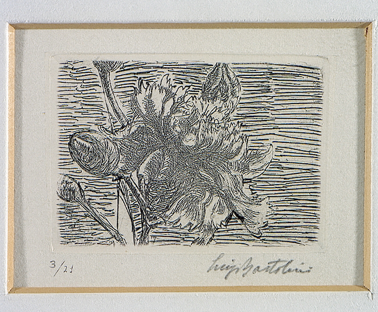 Fiore, fiore (stampa) di Bartolini Luigi (sec. XX)