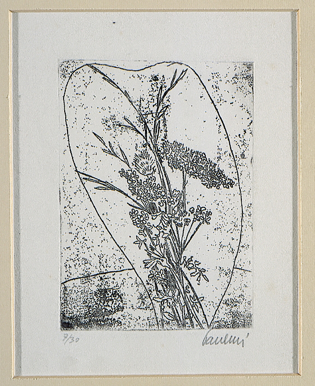 Fiori, mazzo di fiori (stampa) di Paulucci Enrico (metà sec. XX)