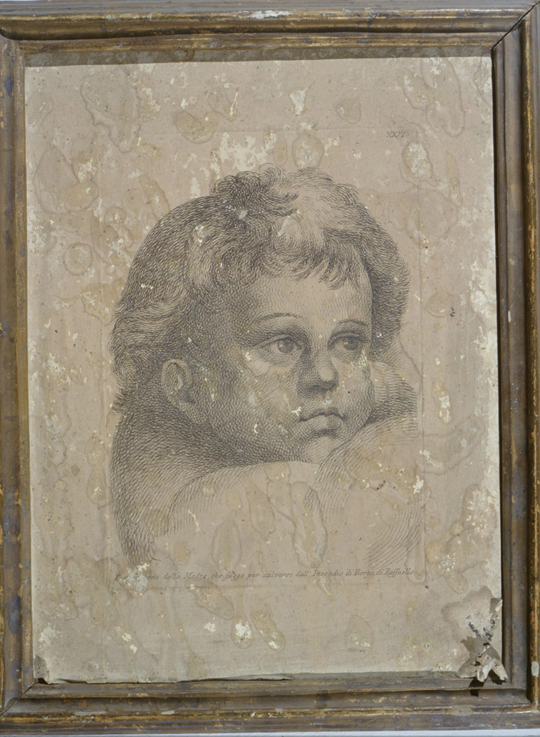 volto di bambino (stampa, serie) di Fidanza Paolo (attribuito), Sanzio Raffaello (sec. XVIII)