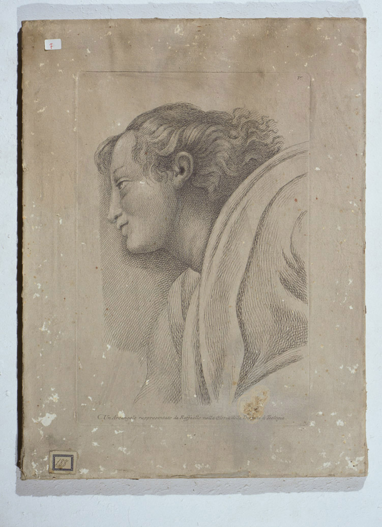 profilo di angelo (stampa, serie) di Fidanza Paolo (attribuito), Sanzio Raffaello (sec. XVIII)