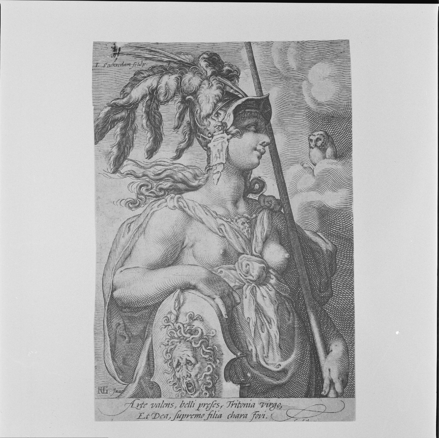 Minerva (stampa) di Goltzius Hendrick, Saenredam Giovanni (secc. XVI/ XVII)