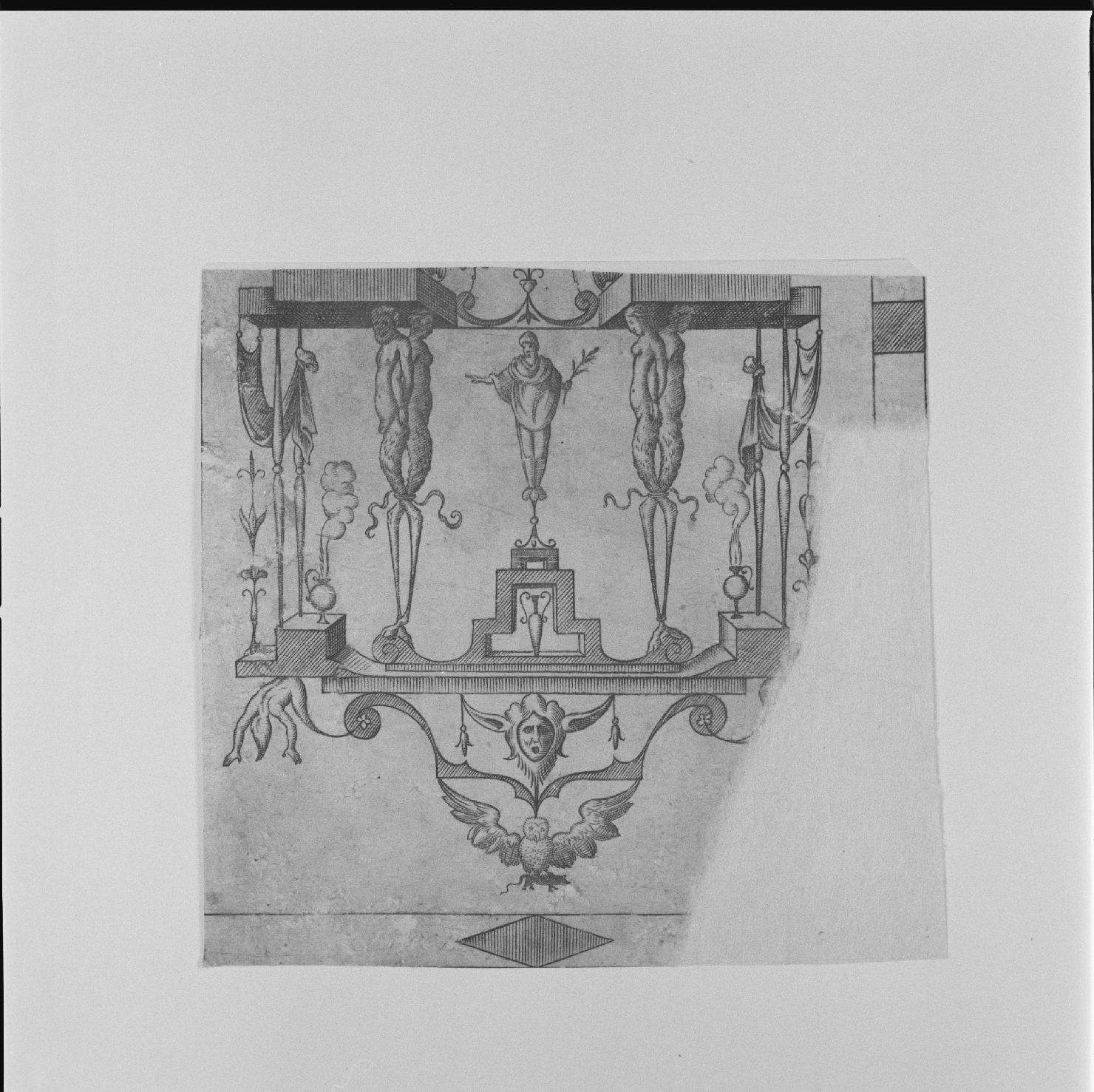 motivi decorativi a grottesche (stampa) di Ciamberlano Luca (attribuito), Ricoveri Domenico detto Del Barbiere (prima metà sec. XVII)