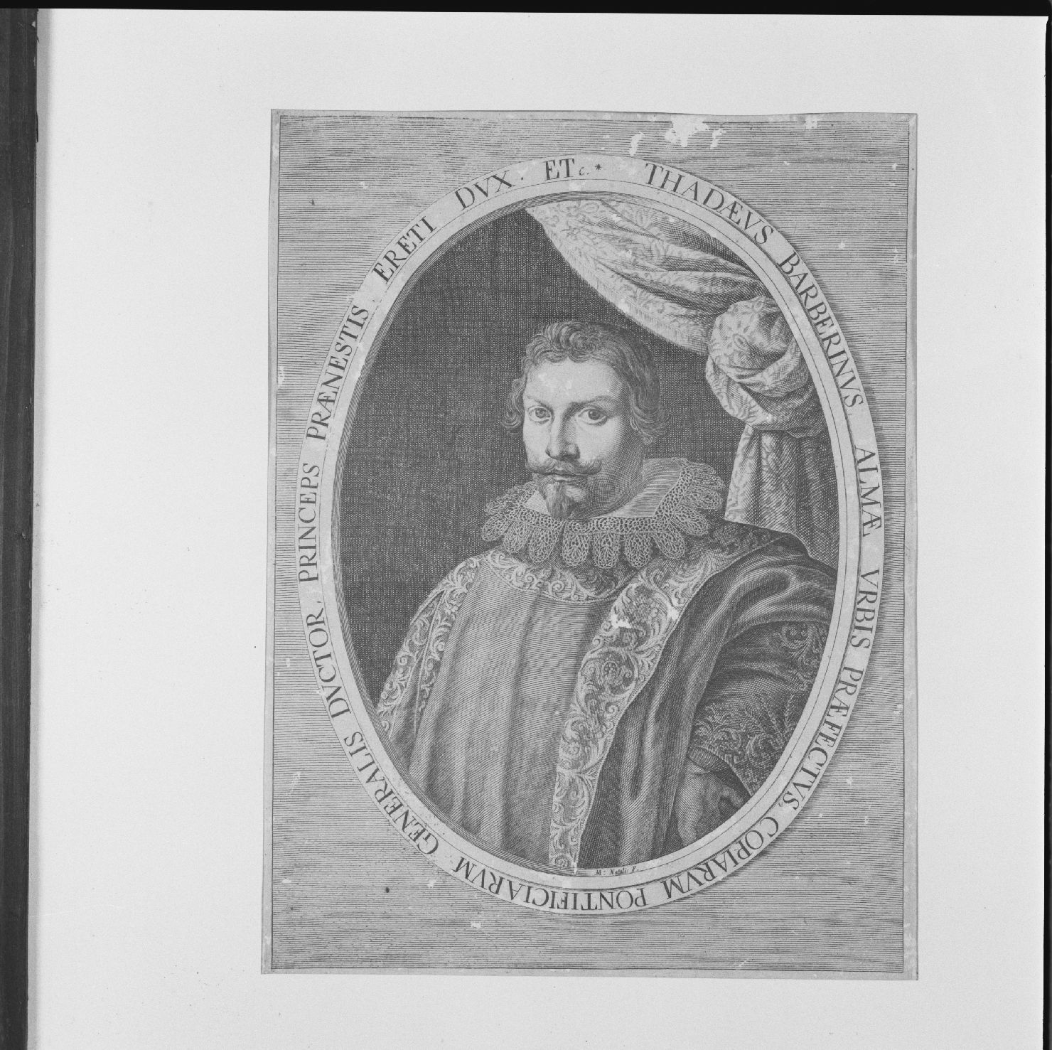 Ritratto di Taddeo Barberini (stampa) di Natalis Michael (sec. XVII)