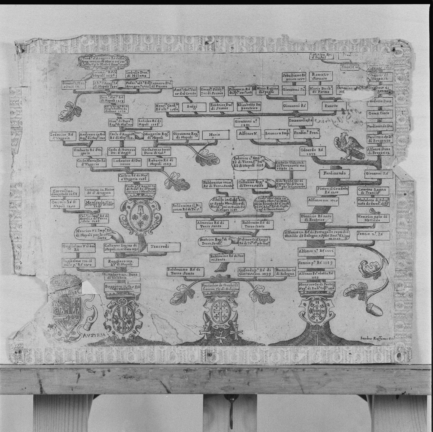albero genealogico della Casa d'Austria (stampa) di Russoni Jacopo (seconda metà sec. XVII)