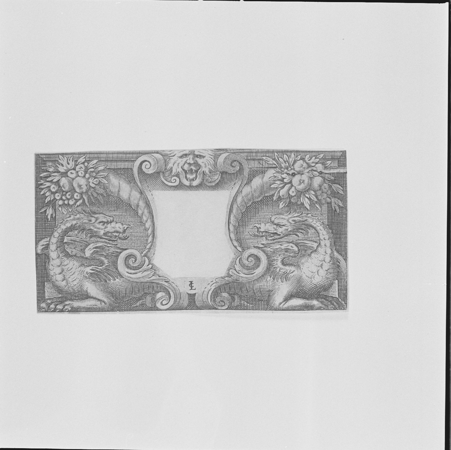 motivi decorativi con grifi e cornucopie (stampa) di Ciamberlano Luca (prima metà sec. XVII)