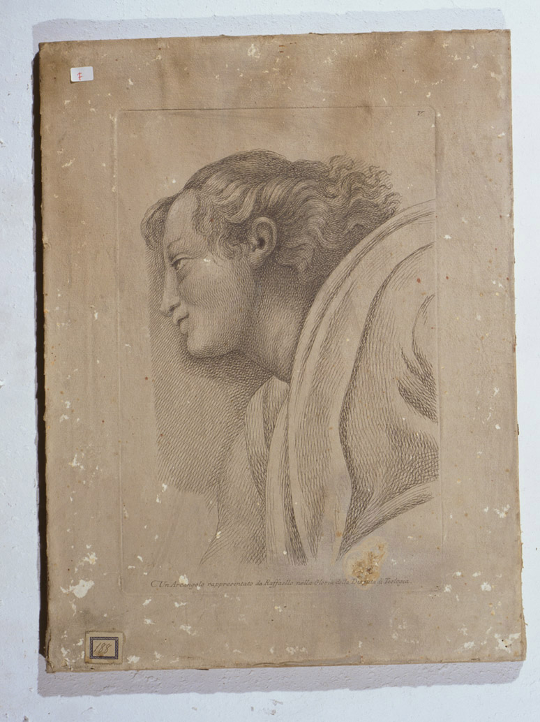 testa di S. Michele Arcangelo (stampa, serie) di Fidanza Paolo, Sanzio Raffaello (sec. XVIII)