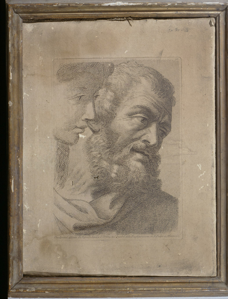 testa di San Filippo e di un Apostolo (stampa, serie) di Fidanza Paolo, Sanzio Raffaello (sec. XVIII)