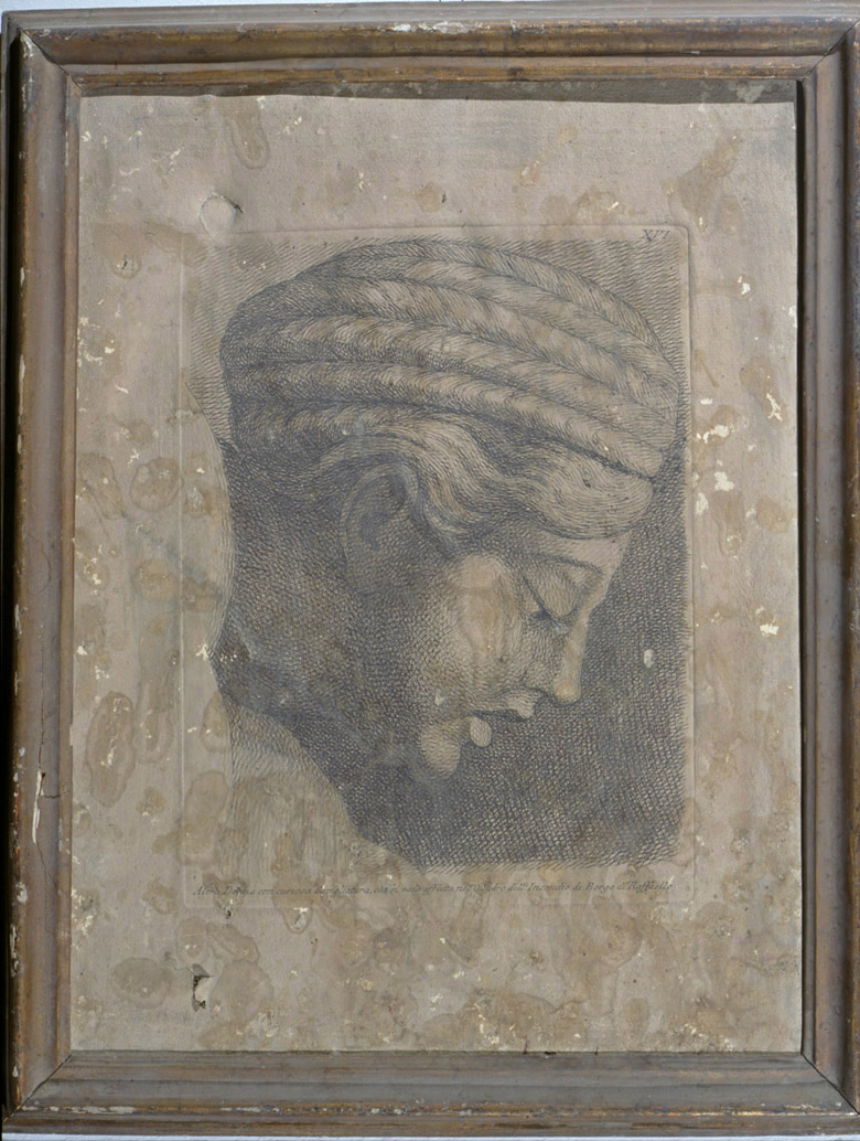 testa di donna di profilo (stampa, serie) di Fidanza Paolo, Sanzio Raffaello (sec. XVIII)