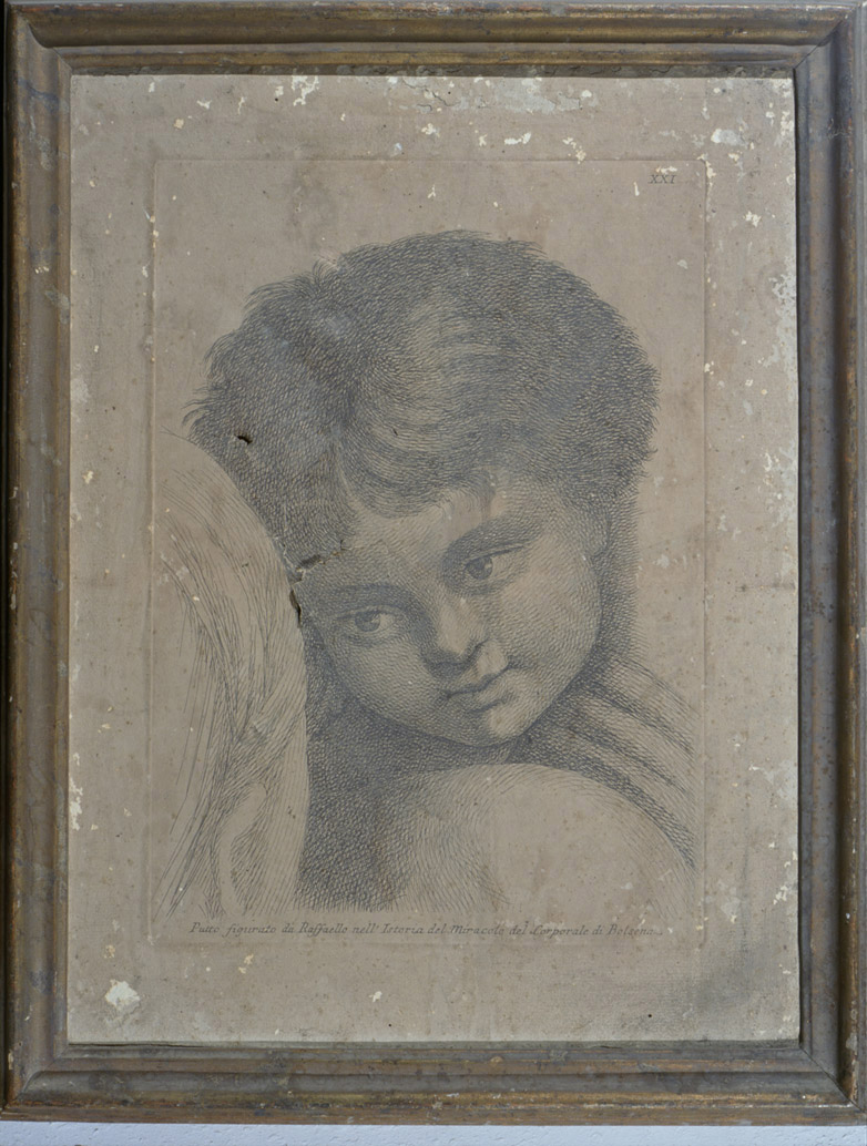 testa di putto (stampa, serie) di Fidanza Paolo, Sanzio Raffaello (sec. XVIII)