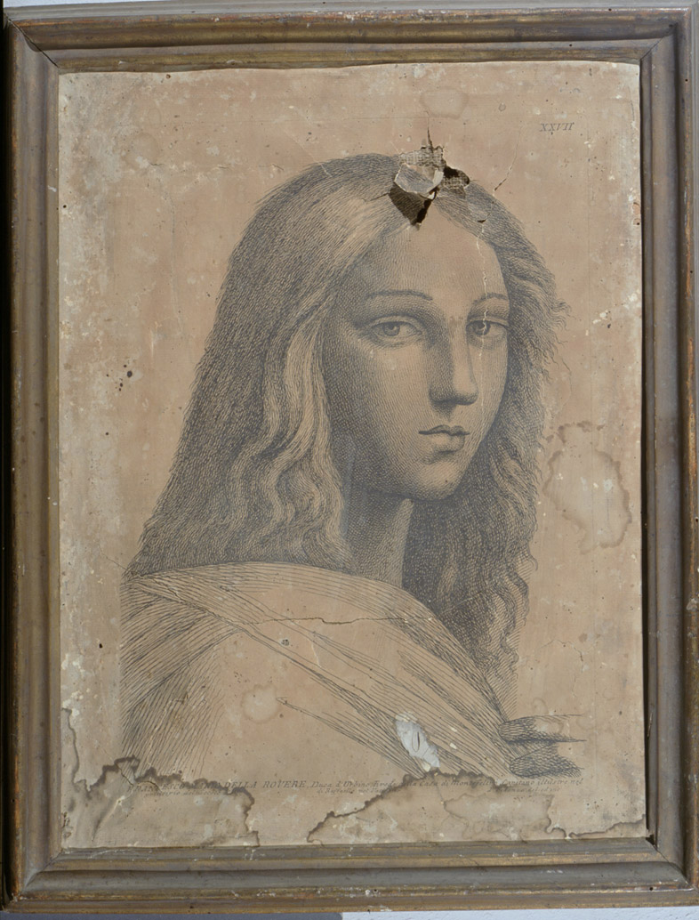 testa di Francesco Maria I Della Rovere (stampa, serie) di Fidanza Paolo, Sanzio Raffaello (sec. XVIII)