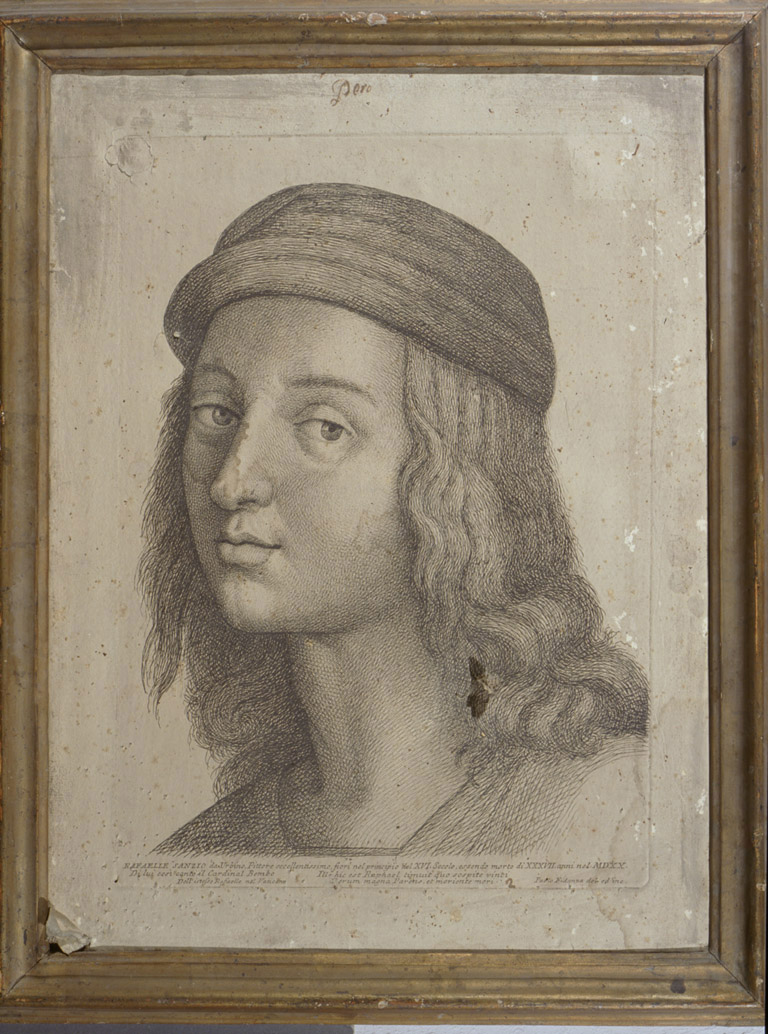 testa di Raffaello Sanzio (stampa, serie) di Fidanza Paolo, Sanzio Raffaello (sec. XVIII)