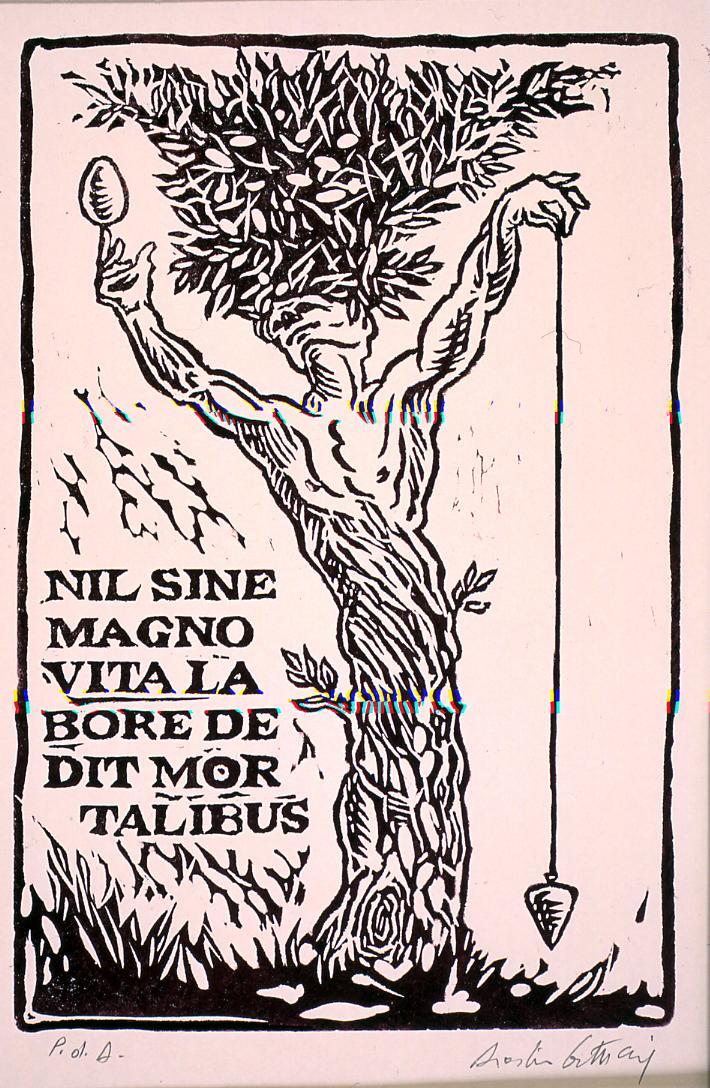 L'albero piceno, albero antropomorfo; iscrizione (stampa) di Cartuccia Agostino (sec. XX)