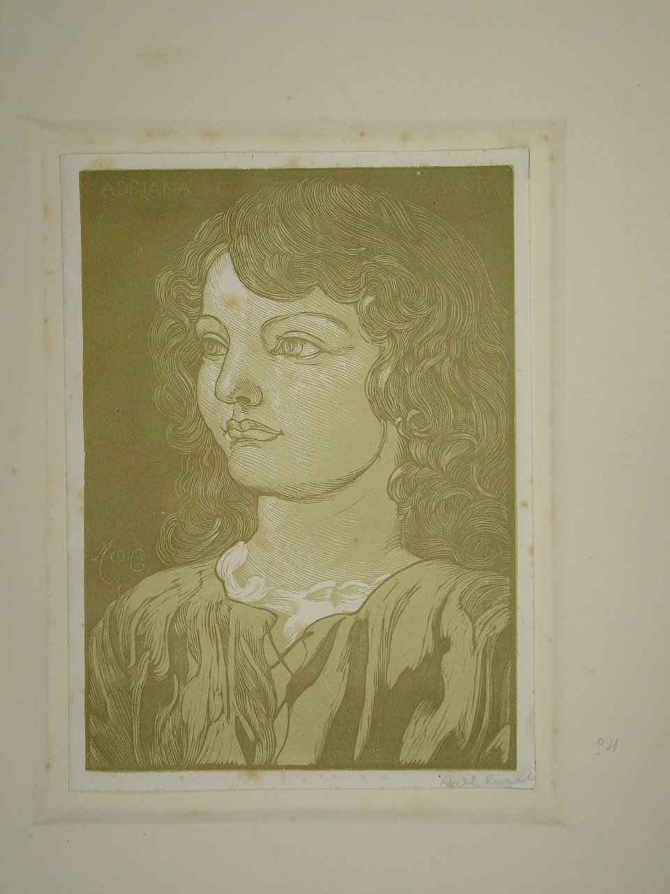 Adriana, ritratto di donna (stampa) di De Carolis Adolfo (attribuito) (primo quarto sec. XX)