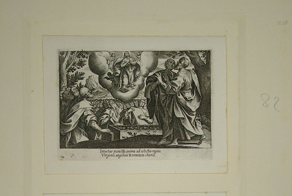 assunzione della Madonna (stampa, elemento d'insieme) - ambito Italia centrale (primo quarto sec. XVII)