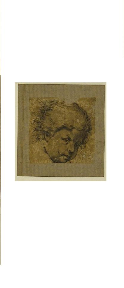 testa di putto (stampa) - ambito romano (prima metà sec. XVII)