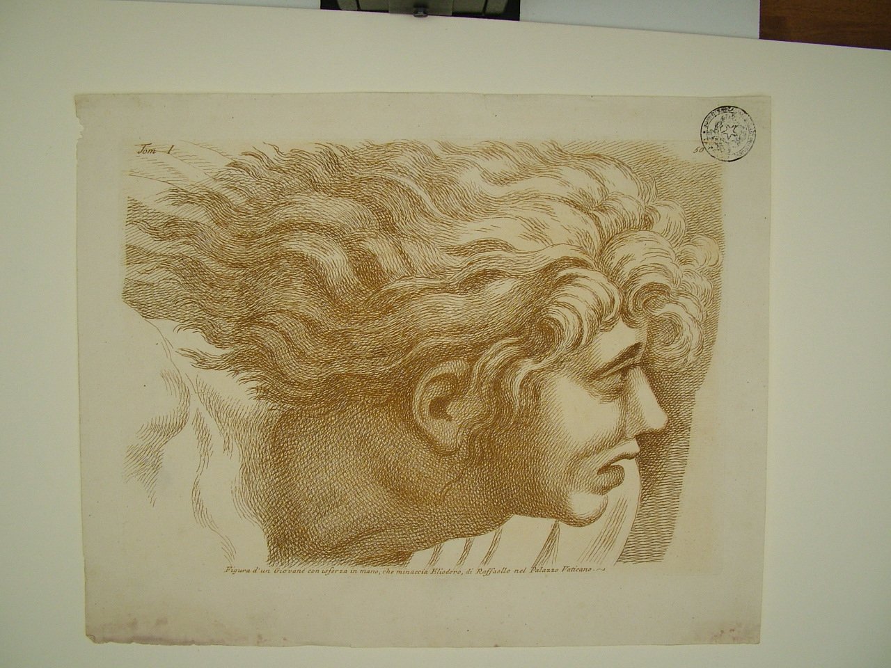 testa di giovane (stampa, elemento d'insieme) di Sanzio Raffaello (attribuito), Fidanza Paolo (attribuito) (terzo quarto sec. XVIII)