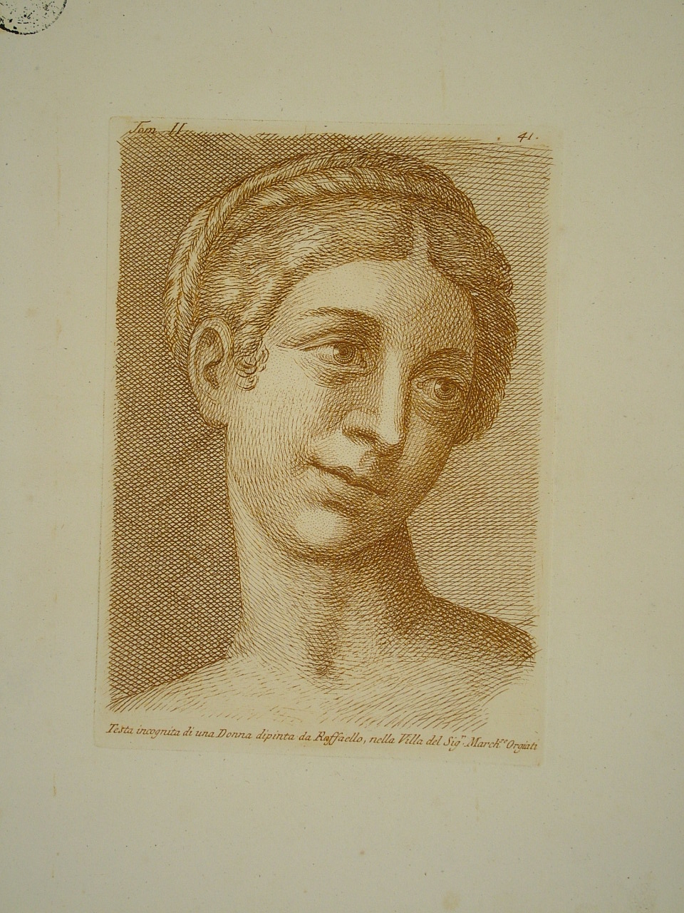 ritratto di donna (stampa, elemento d'insieme) di Sanzio Raffaello (attribuito), Fidanza Paolo (attribuito) (terzo quarto sec. XVIII)