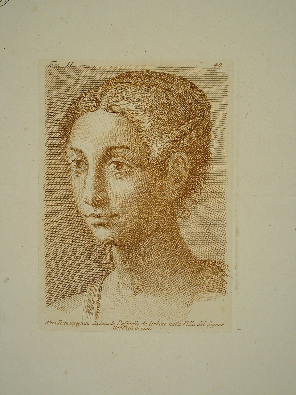 ritratto di donna (stampa, elemento d'insieme) di Sanzio Raffaello (attribuito), Fidanza Paolo (attribuito) (terzo quarto sec. XVIII)