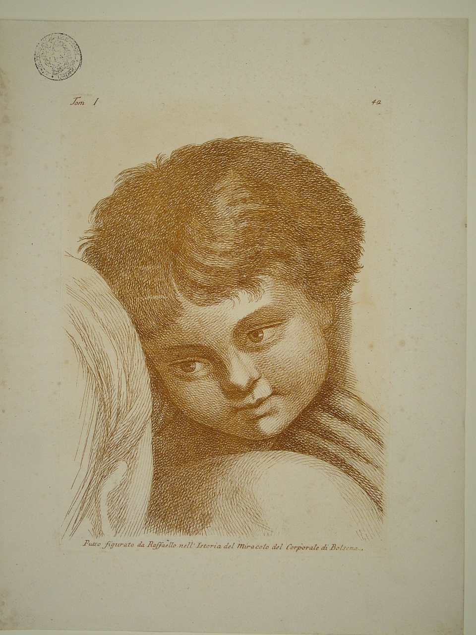 testa di putto (stampa, elemento d'insieme) di Sanzio Raffaello (attribuito), Fidanza Paolo (attribuito) (terzo quarto sec. XVIII)