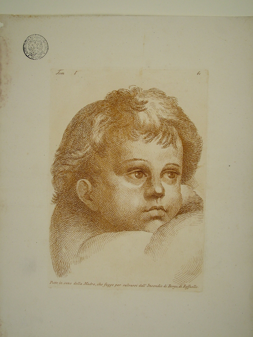 testa di putto (stampa, elemento d'insieme) di Sanzio Raffaello (attribuito), Fidanza Paolo (attribuito) (terzo quarto sec. XVIII)