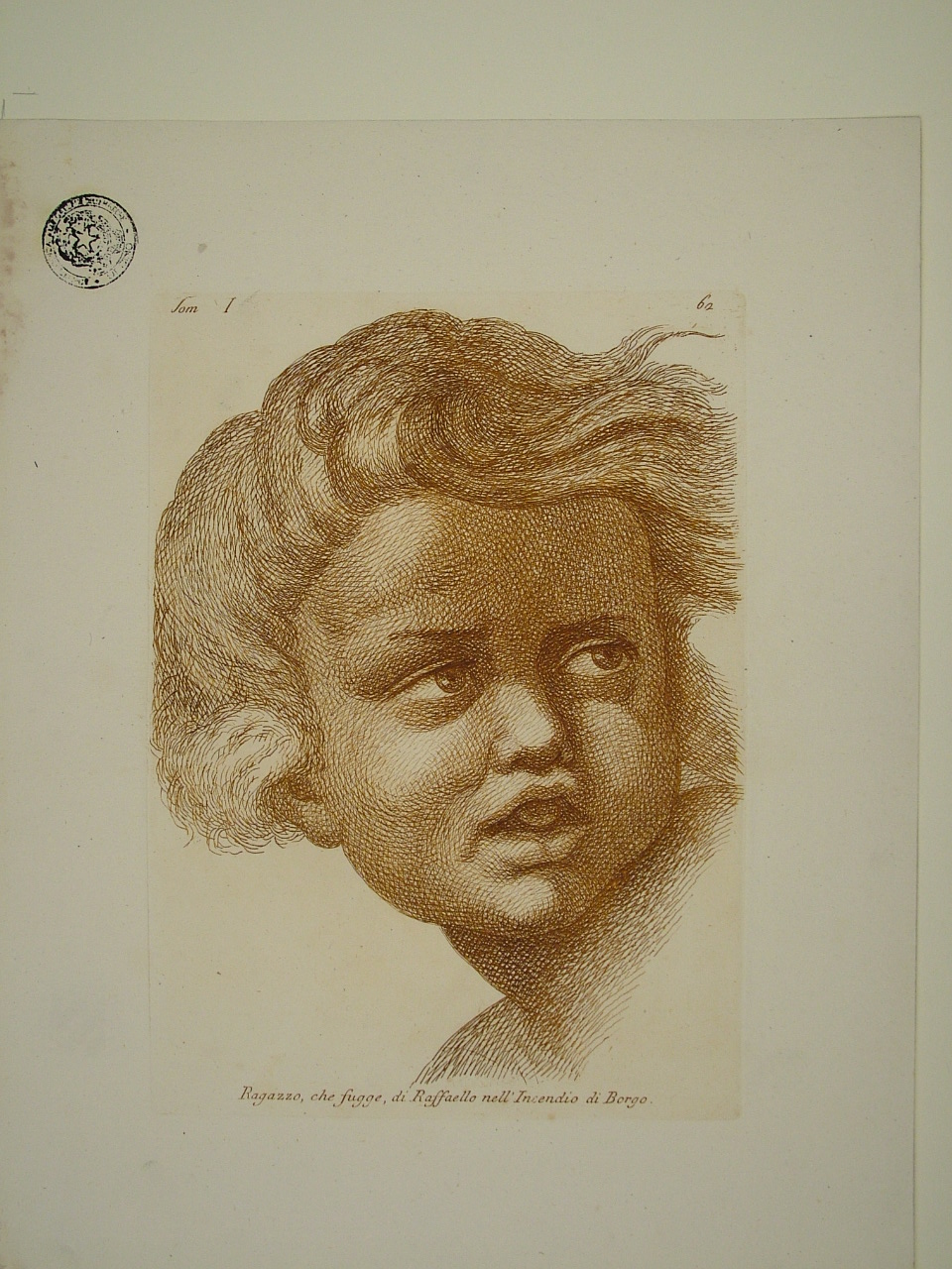 testa di putto (stampa, elemento d'insieme) di Sanzio Raffaello (attribuito), Fidanza Paolo (attribuito) (terzo quarto sec. XVIII)