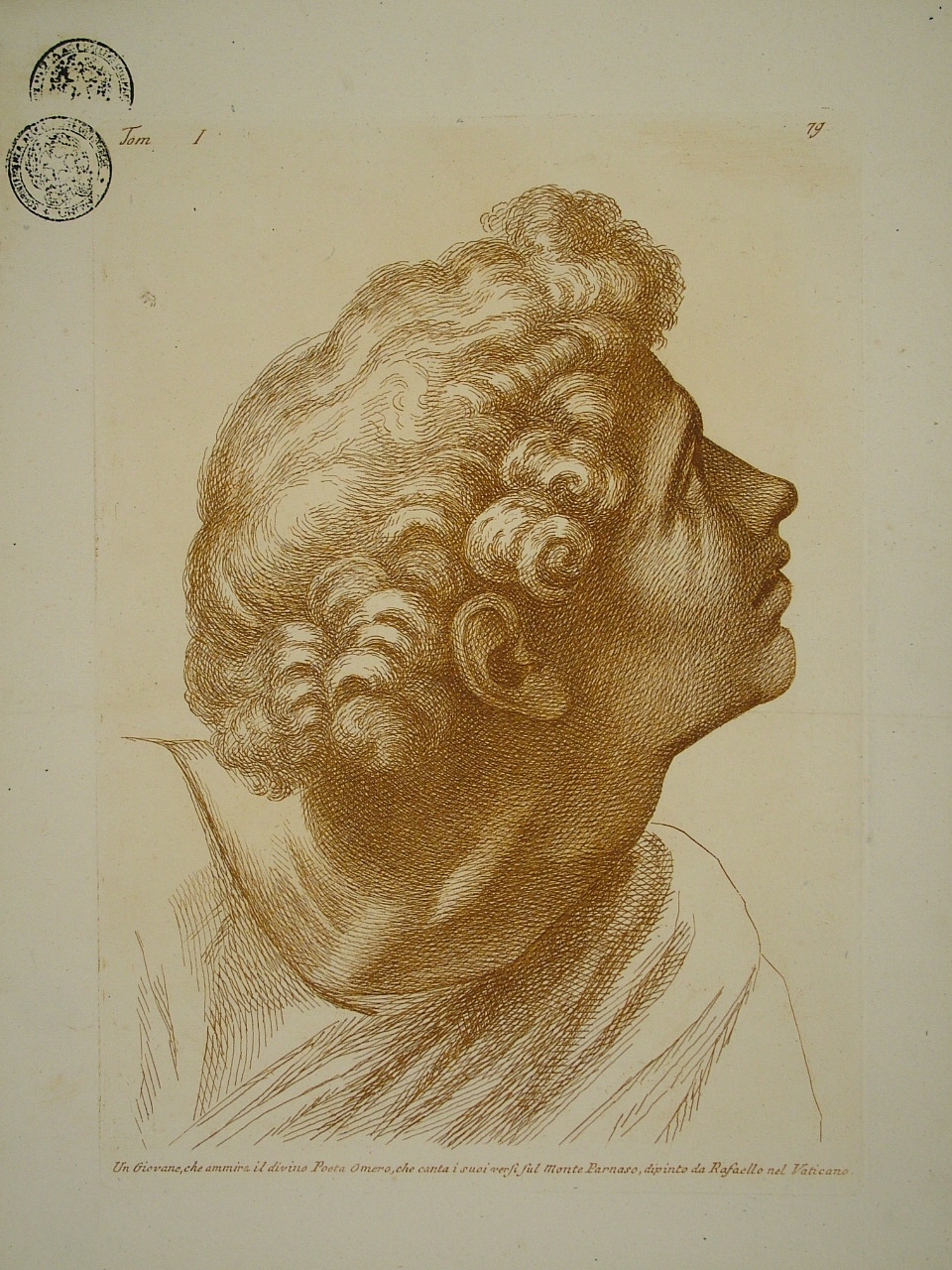 figura maschile (stampa, elemento d'insieme) di Sanzio Raffaello (attribuito), Fidanza Paolo (attribuito) (terzo quarto sec. XVIII)