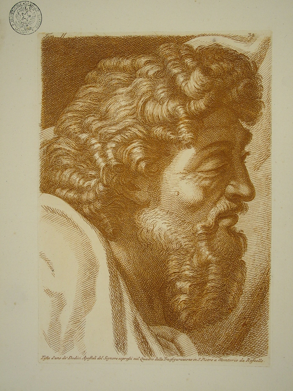 Apostolo (stampa, elemento d'insieme) di Sanzio Raffaello (attribuito), Fidanza Paolo (attribuito) (terzo quarto sec. XVIII)