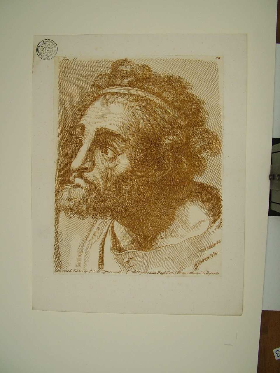 Apostolo (stampa, elemento d'insieme) di Sanzio Raffaello (attribuito), Fidanza Paolo (attribuito) (terzo quarto sec. XVIII)