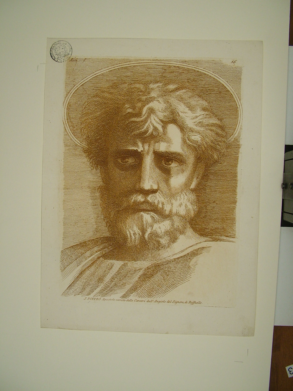 San Pietro (stampa, elemento d'insieme) di Sanzio Raffaello (attribuito), Fidanza Paolo (attribuito) (terzo quarto sec. XVIII)