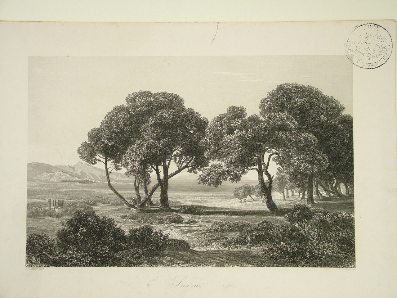 veduta di Smirne (stampa) di Loffler August (attribuito), Richter Johann (attribuito) (sec. XIX)