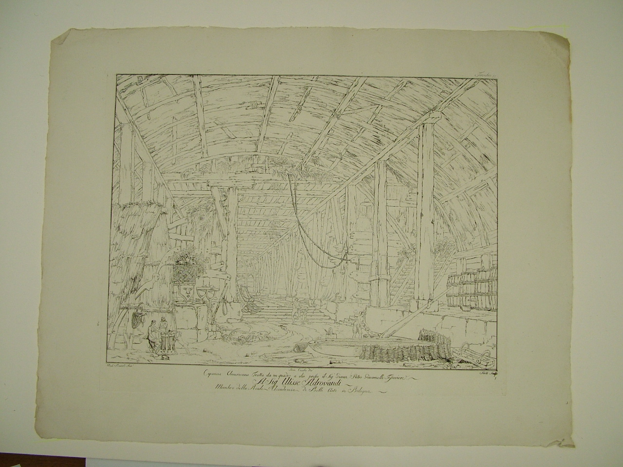Capanna Americana, architettura (stampa) di Basoli Antonio, Cocchi Francesco, Sarti Ignazio (inizio sec. XIX)