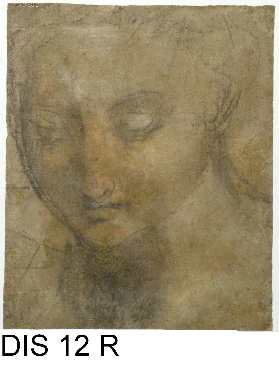 testa di donna (disegno) di Barocci Federico (seconda metà sec. XVI)